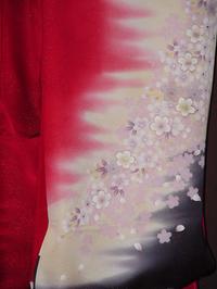 ��µ7��µ����ʬ