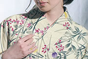 �ڸ���ʪ��ۤ椫��/Ǽ06